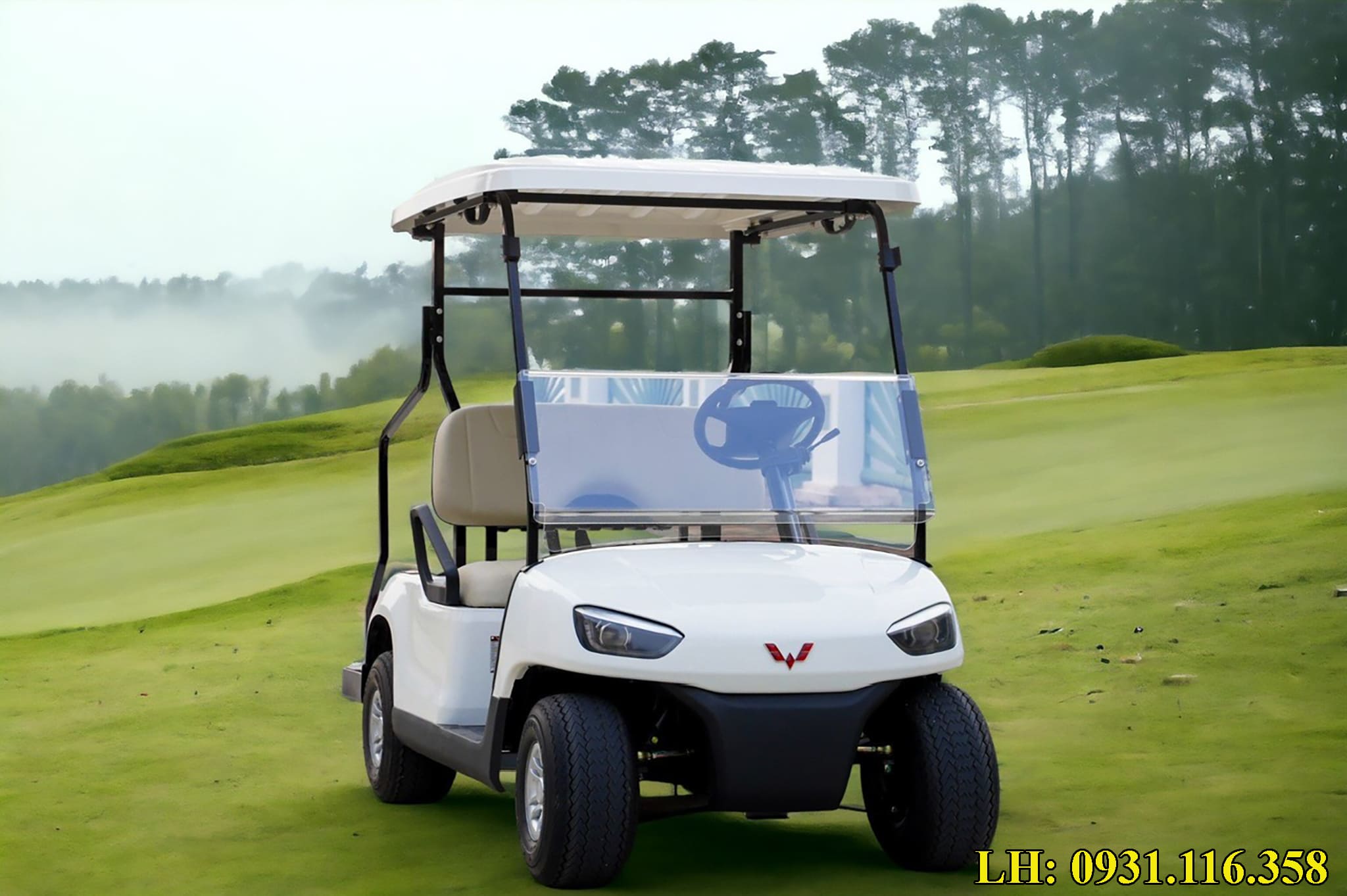 xe điện sân golf 2 chỗ cũ