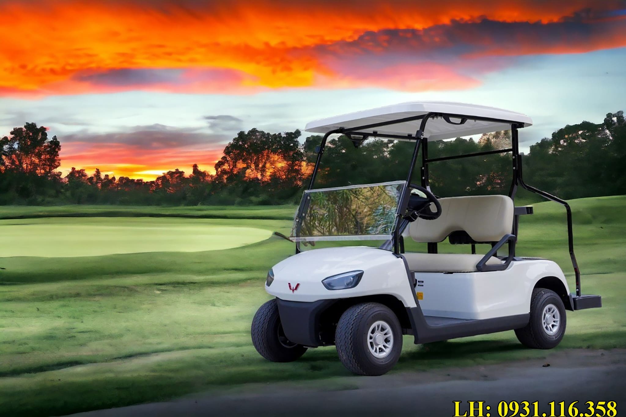 giá xe điện sân golf 2 chỗ