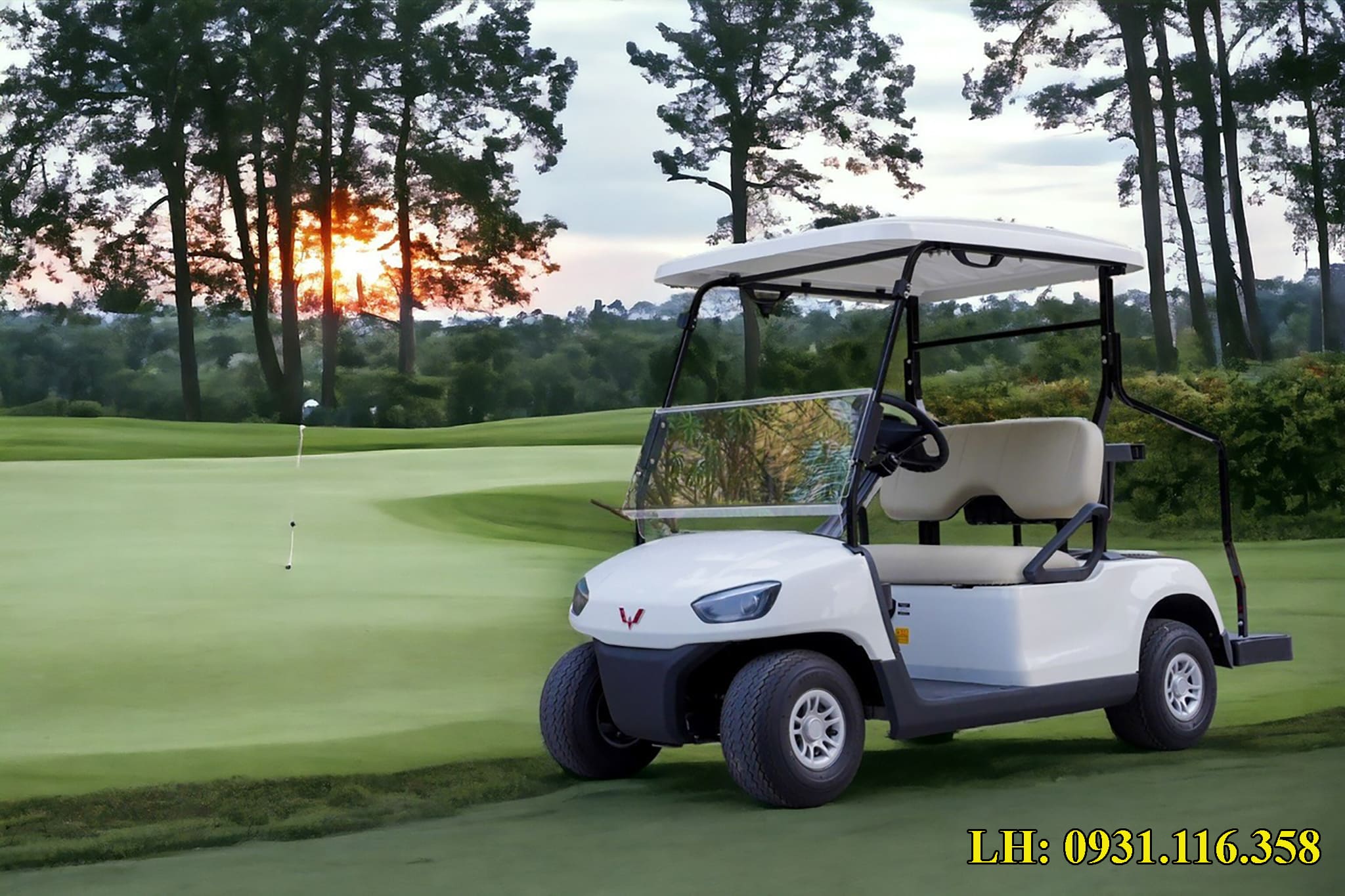 xe điện chạy trong sân golf 2 chỗ