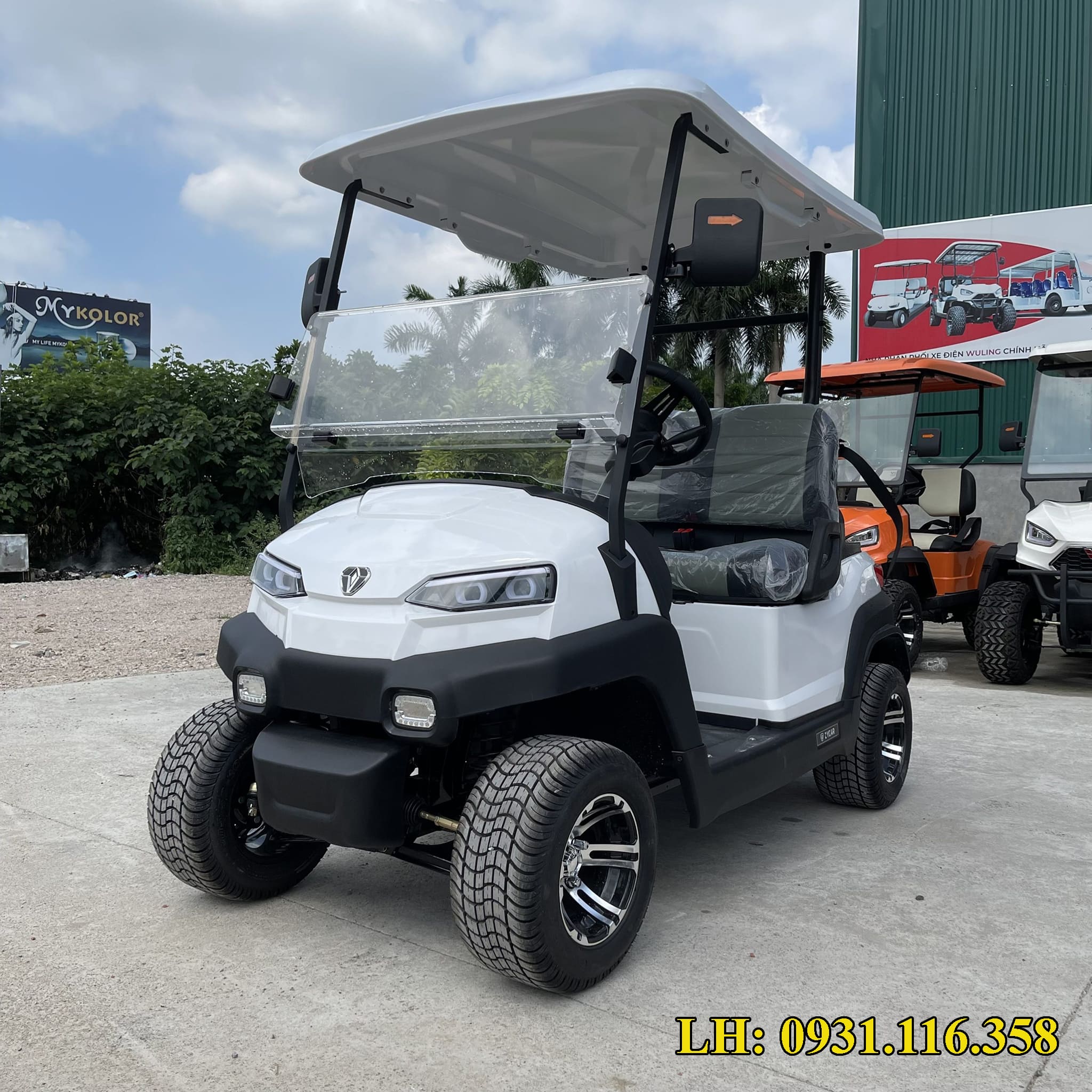 xe điện sân golf 2 chỗ