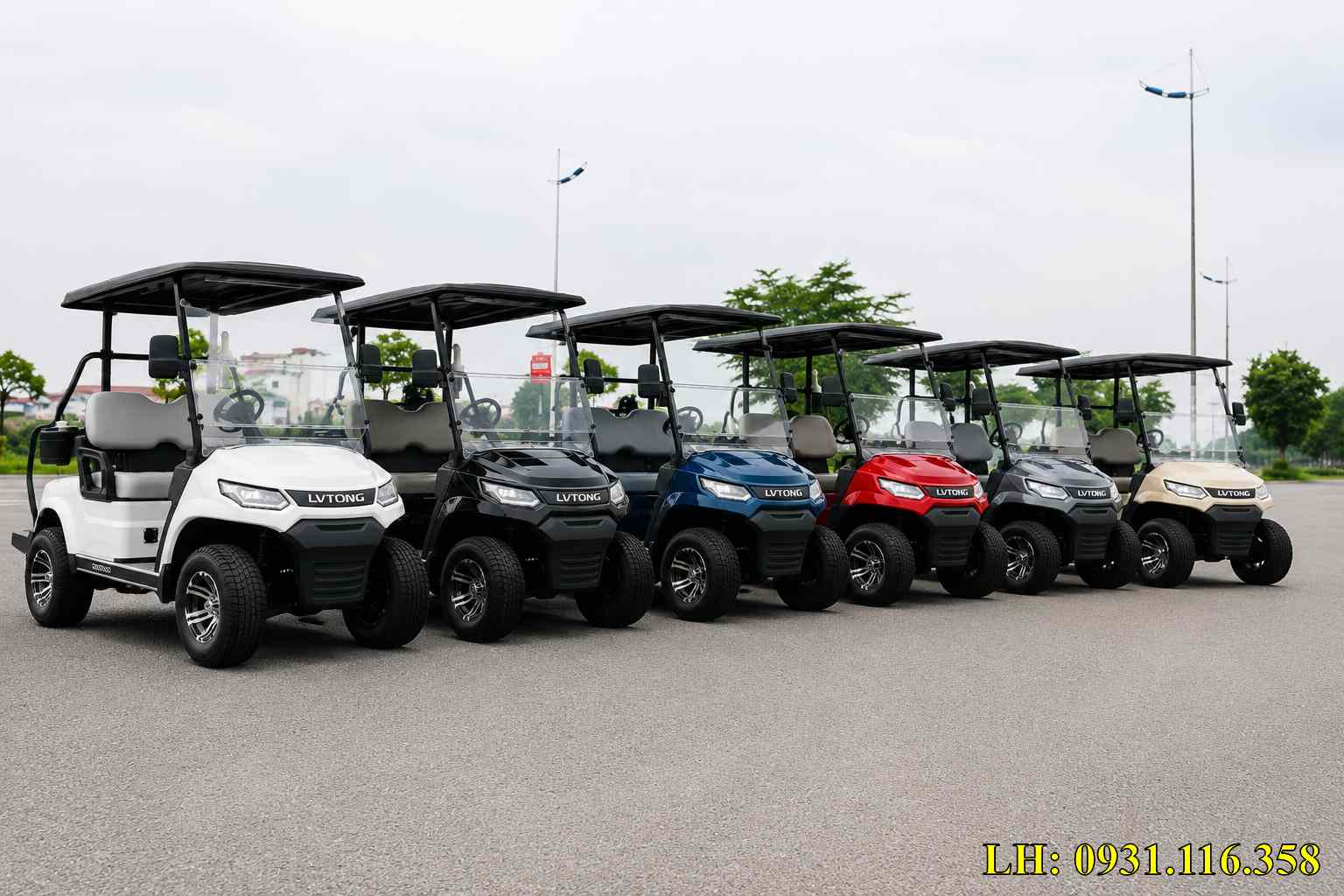 xe điện sân golf 2 chỗ